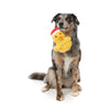 FuzzYard Merry Quackmas Dog Toy