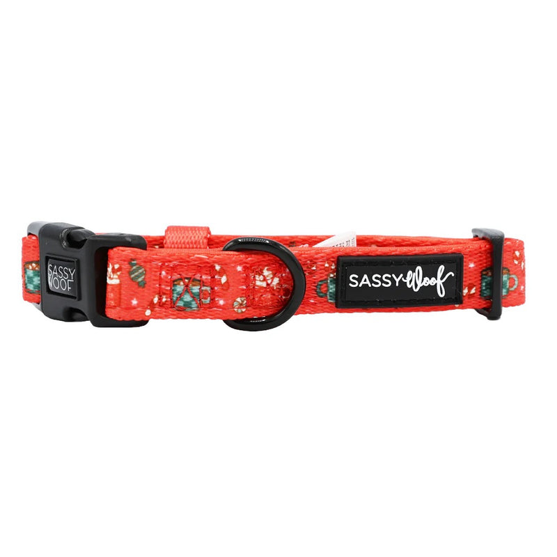 Sassy Woof Dog Collar - Hot Cocoa Club