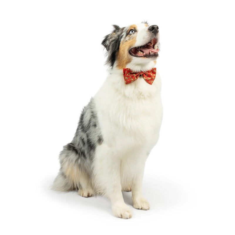 Huxley & Kent Happy G-Man Bow Tie