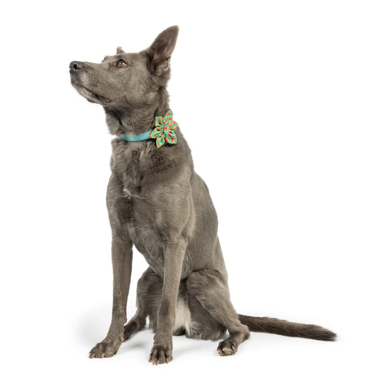 Huxley & Kent Ho Ho Ho Pinwheel