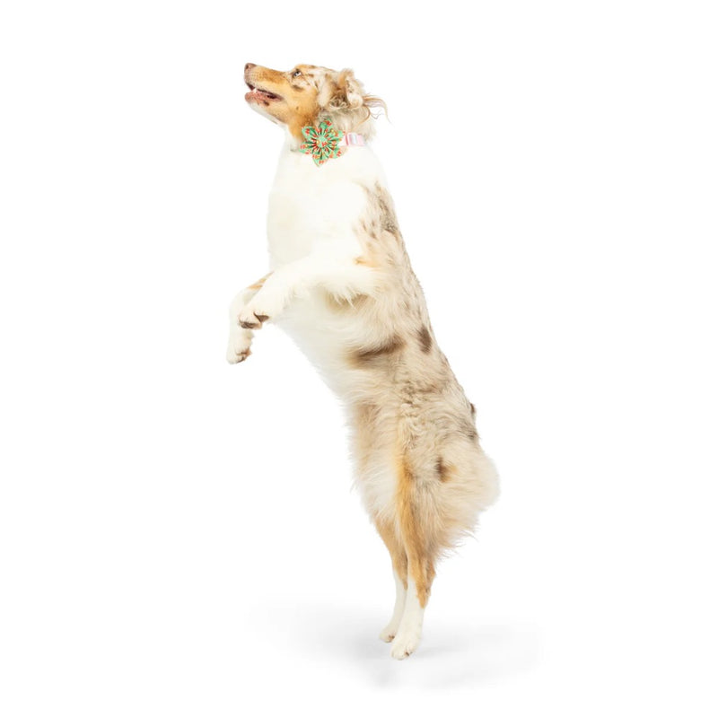 Huxley & Kent Ho Ho Ho Pinwheel