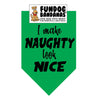 Fundog I make Naughty look Nice Bandana