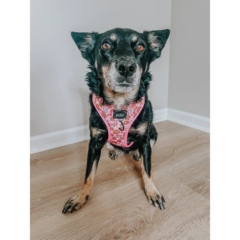 Sassy Woof Dog Adjustable Harness - Dough My Goodness