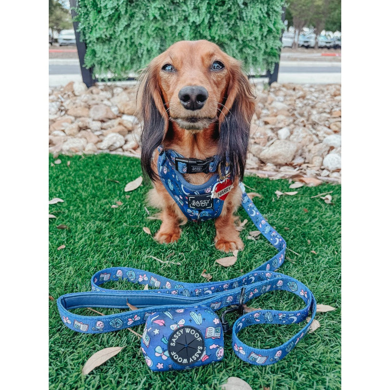 Sassy Woof Dog Leash- Spellbound