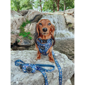 Sassy Woof Dog Collar - Spellbound