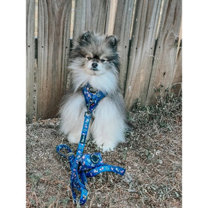 Sassy Woof Dog Leash- Spellbound