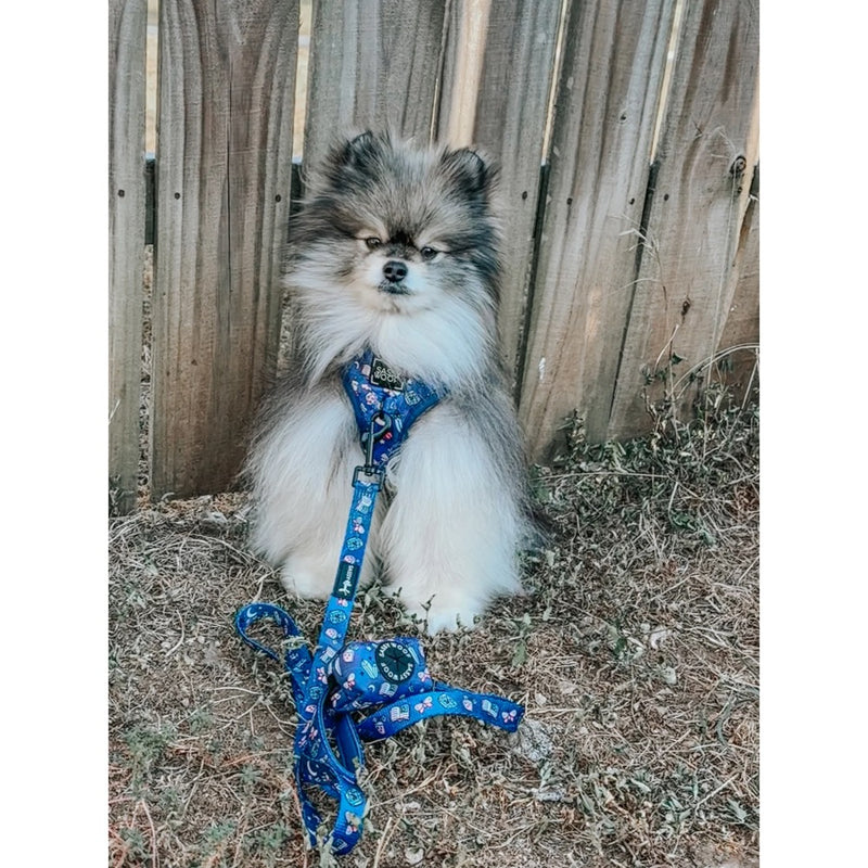 Sassy Woof Dog Leash- Spellbound