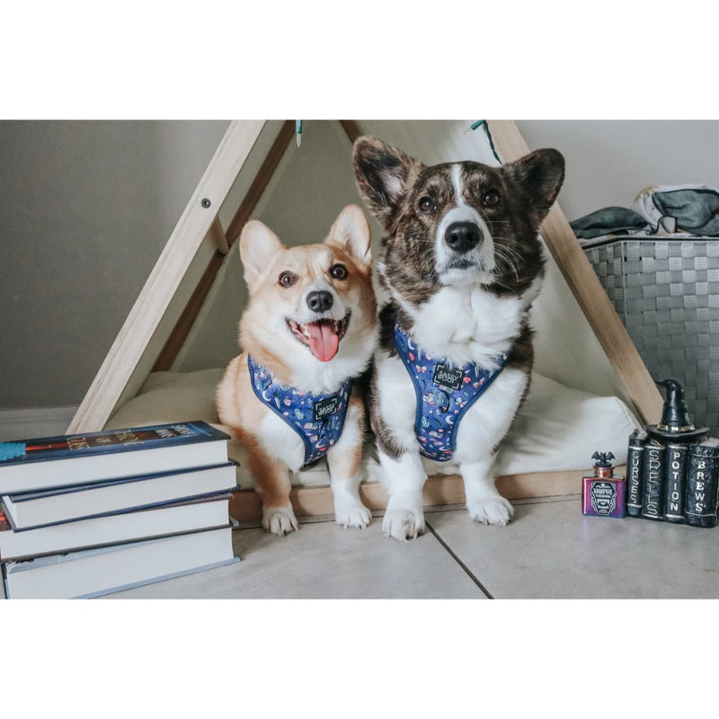 Sassy Woof Adjustable Harness- Spellbound