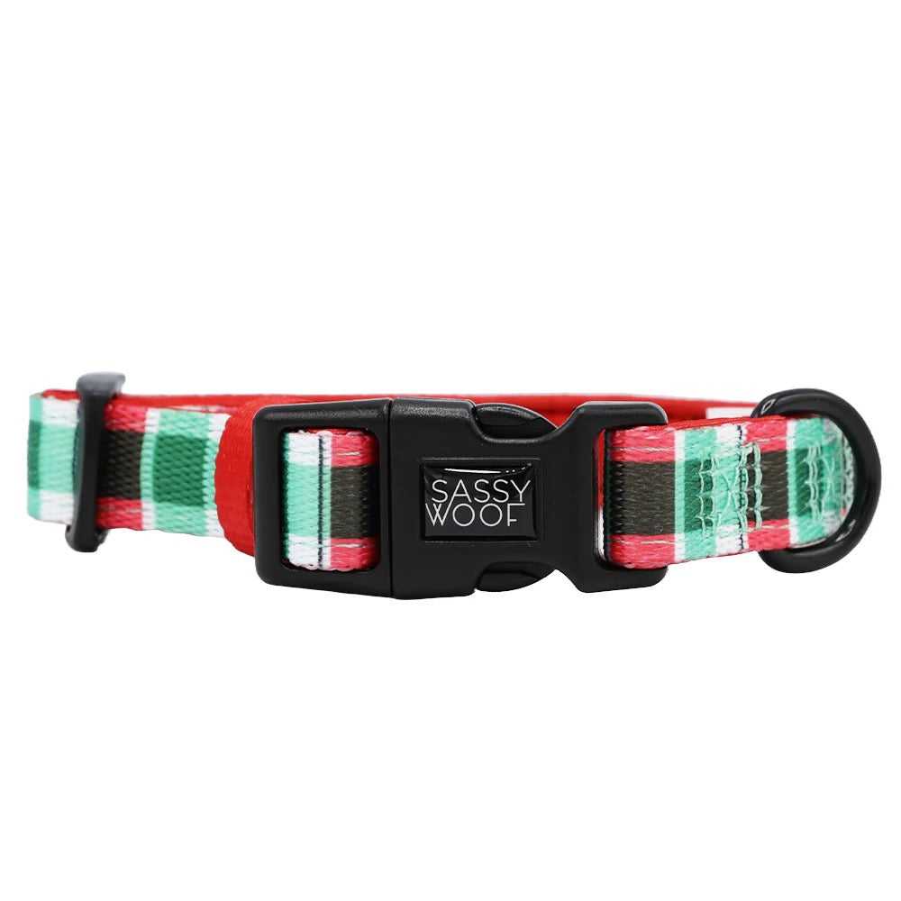 Sassy Woof Dog Collar - Jingle Barks