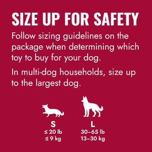 KONG® Flyer® Dog Fetch Toy Small