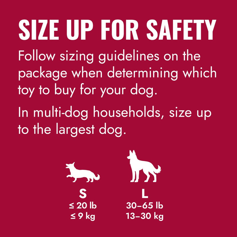 KONG® Flyer® Dog Fetch Toy Small