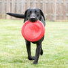 KONG® Flyer® Dog Fetch Toy Small