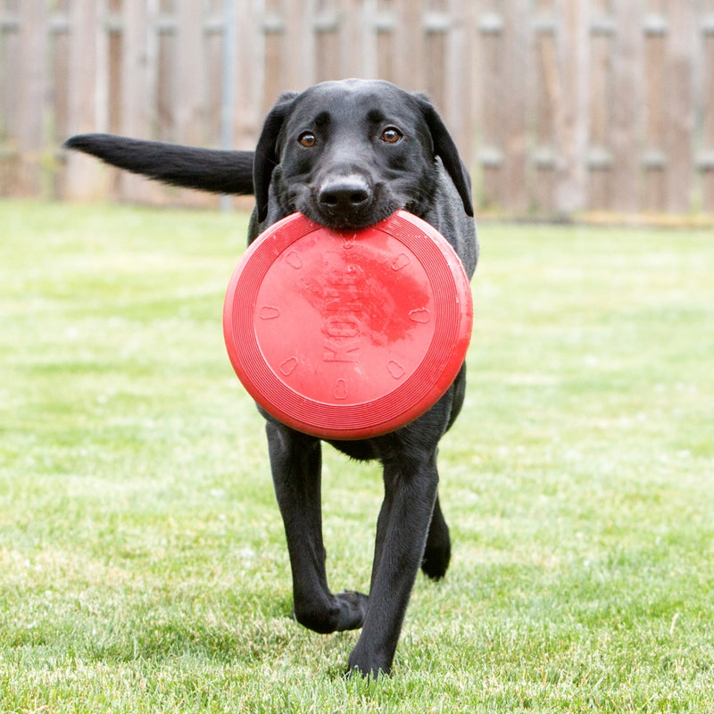 KONG® Flyer® Dog Fetch Toy Small