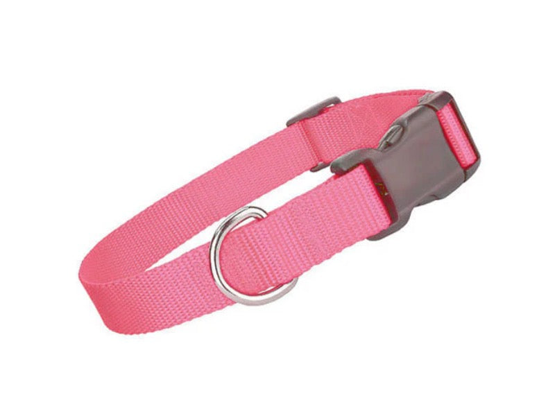Parisian Pet Nylon Collar- Pink