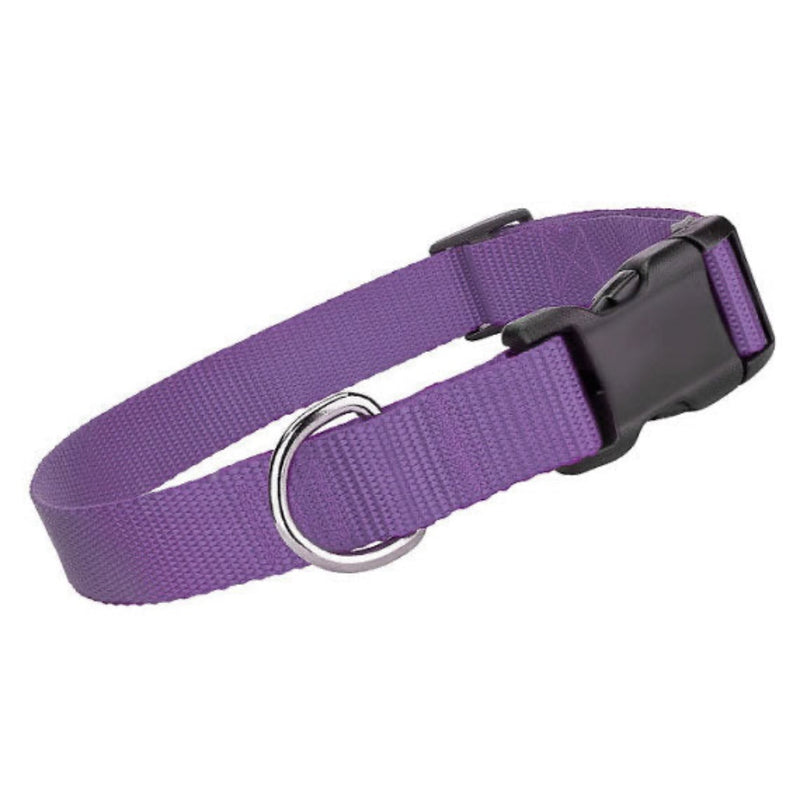 Parisian Pet Nylon Collar- Lilac