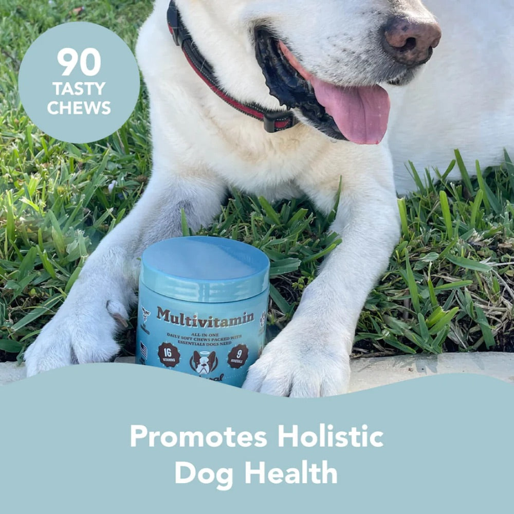 Natural Dog Company Multivitamins