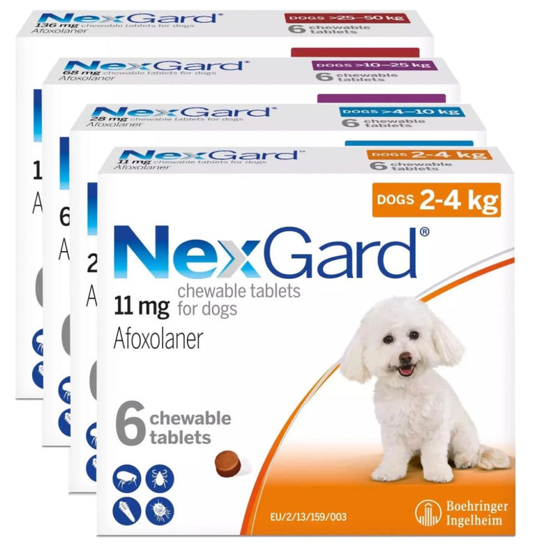 NexGard Flea & Tick Chewables for Dogs