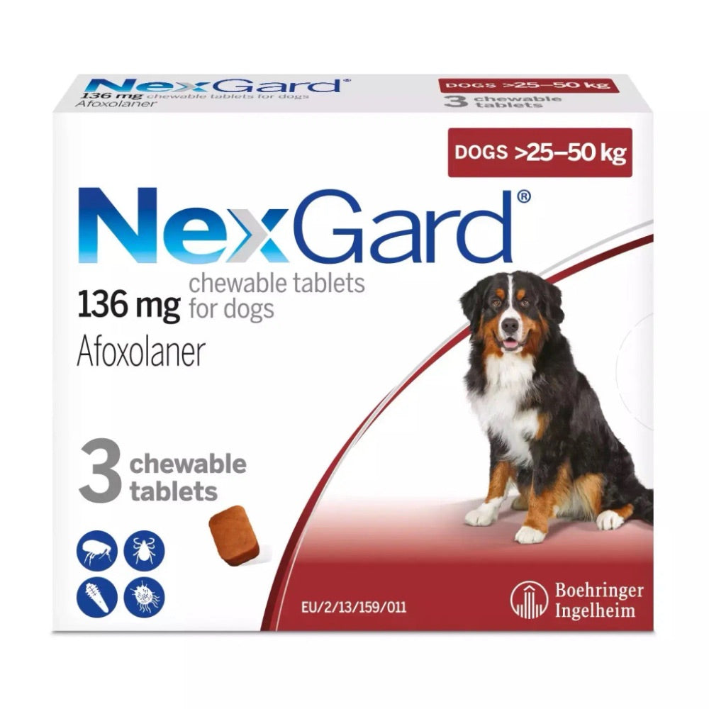 NexGard Flea Tick Chewables for Dogs – Paws and Whiskers
