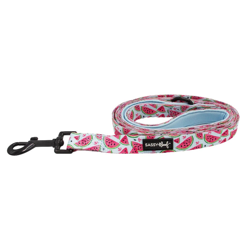Sassy Woof DOG LEASH - OH MY MELONS
