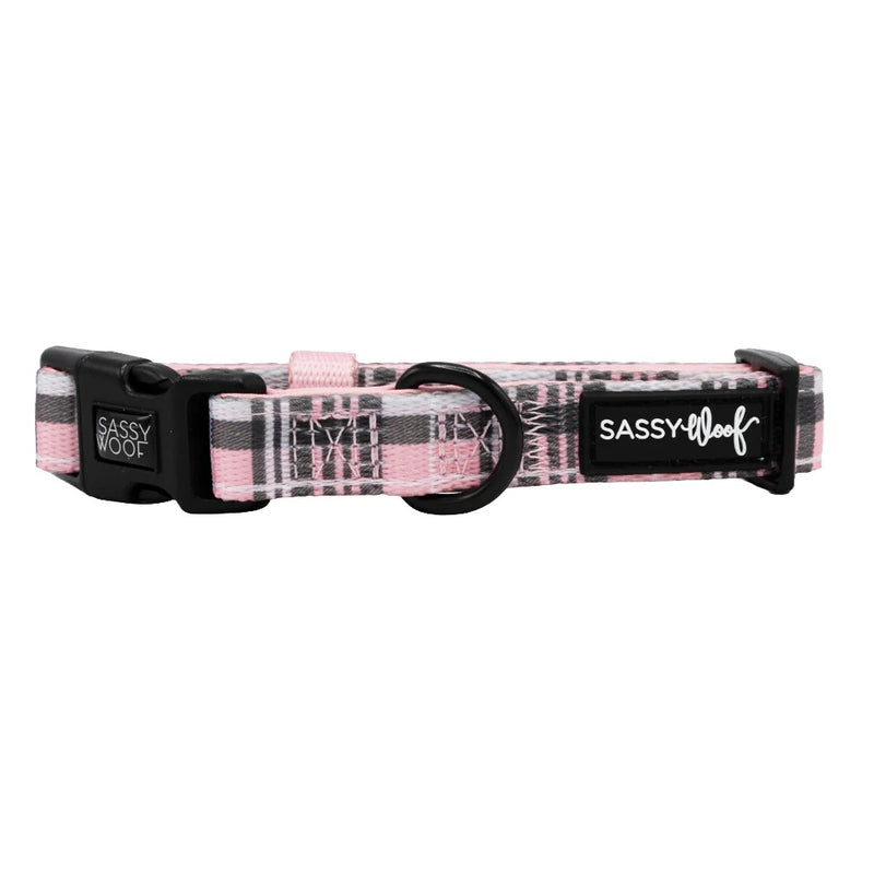 Sassy Woof Dog Collar - Pawberry