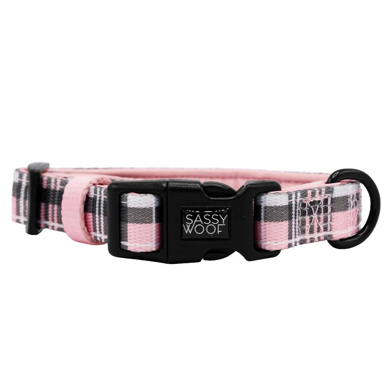 Sassy Woof Dog Collar - Pawberry