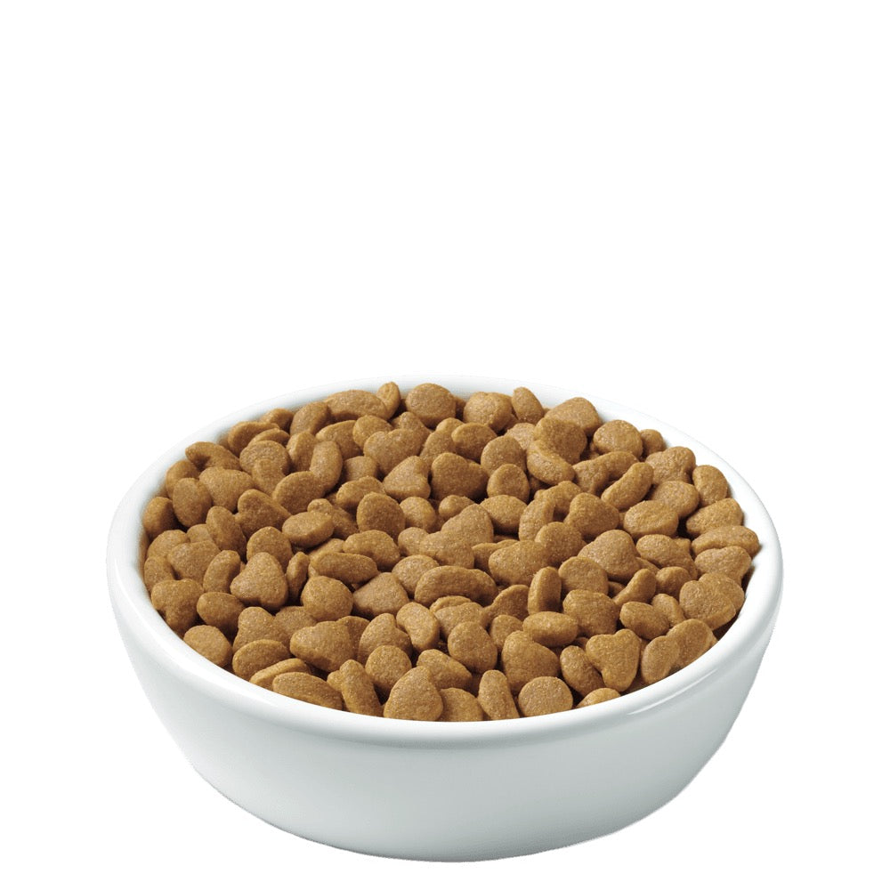 PURINA PRO PLAN KITTEN 鶏肉ゼリー ピュリナ プロプラン キャット パウチ 子猫用 やわらかチキン
