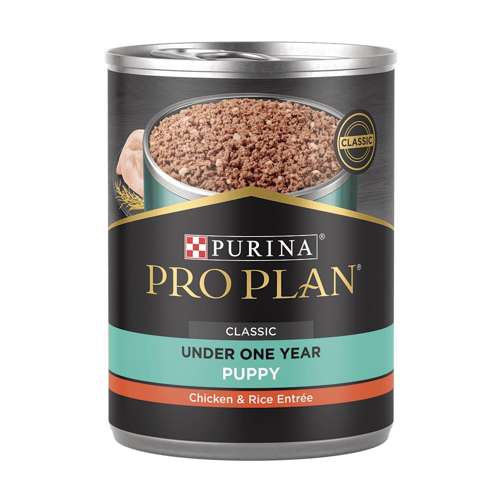 Purina Pro Plan FOCUS Puppy Chicken Rice Entree Classic Wet Dog Food Paws and Whiskers