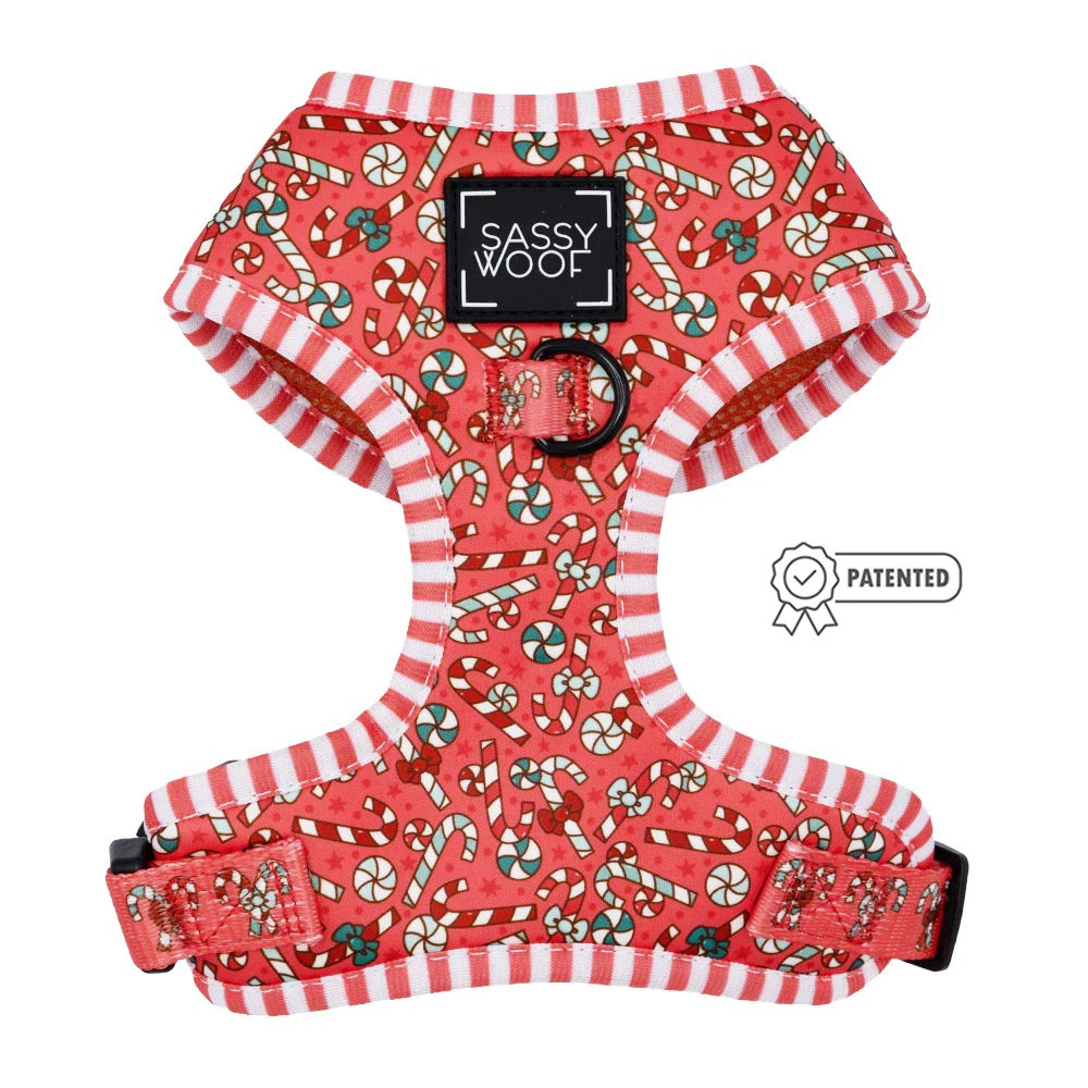 Sassy Woof Dog Adjustable Harness - Puppermint Twist