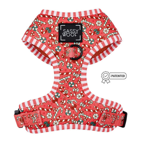 KONG Holiday SqueakAir® Balls with Gingerbread and Candy Cane Print - 6-pk