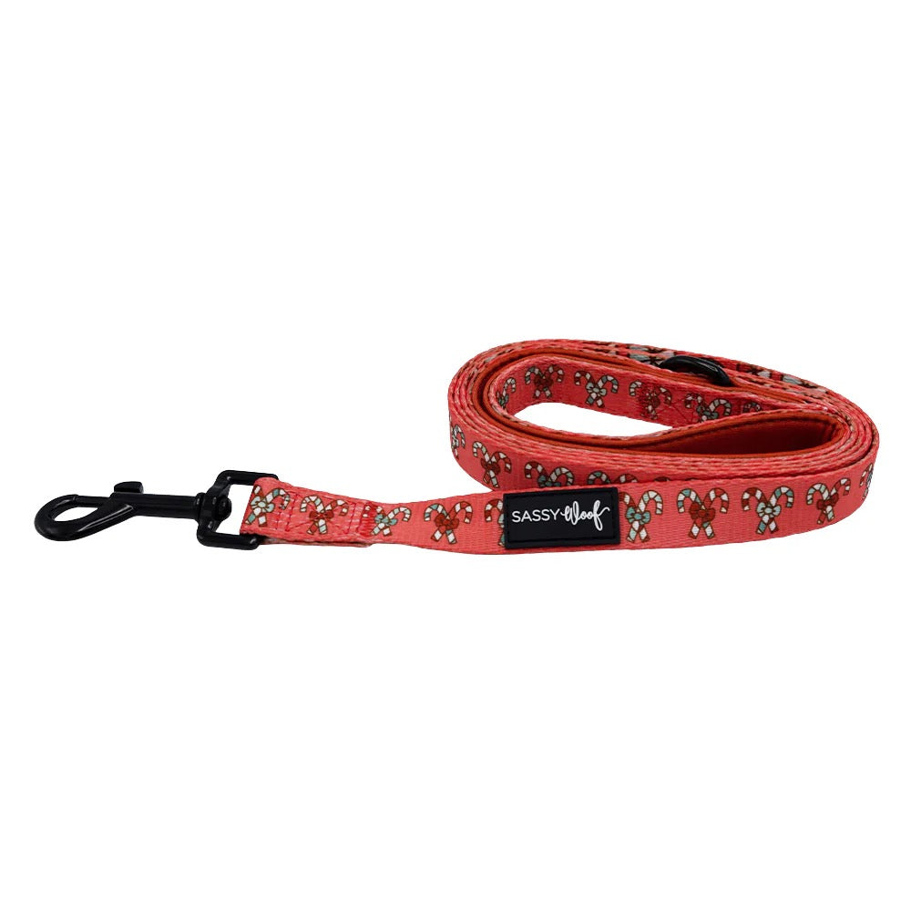 Sassy Woof Dog Leash - Puppermint Twist