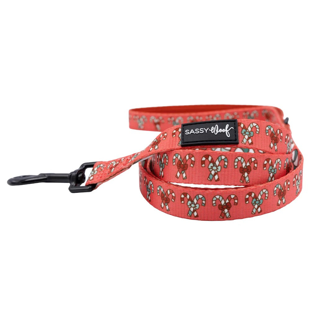 Sassy Woof Dog Leash - Puppermint Twist