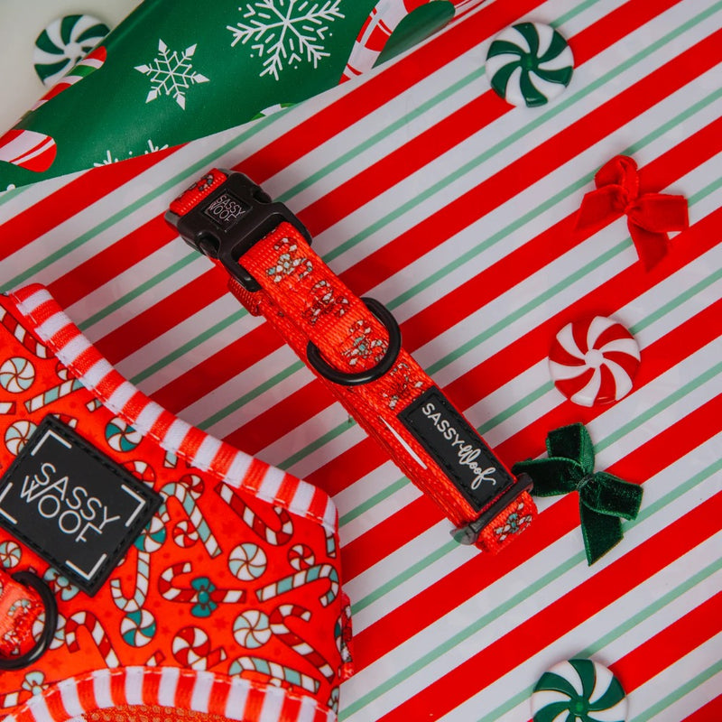 Sassy Woof Dog Collar - Puppermint Twist