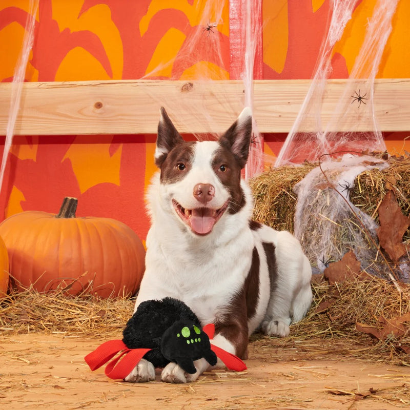 BARK Blake Widow Plush Dog Toy