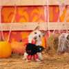 BARK Blake Widow Plush Dog Toy