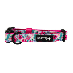 Sassy Woof DOG COLLAR - FLORAL FRENZY