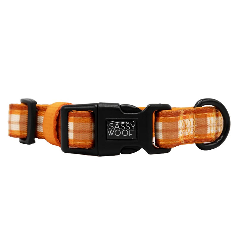 Sassy Woof DOG COLLAR - SPICED HARVEST