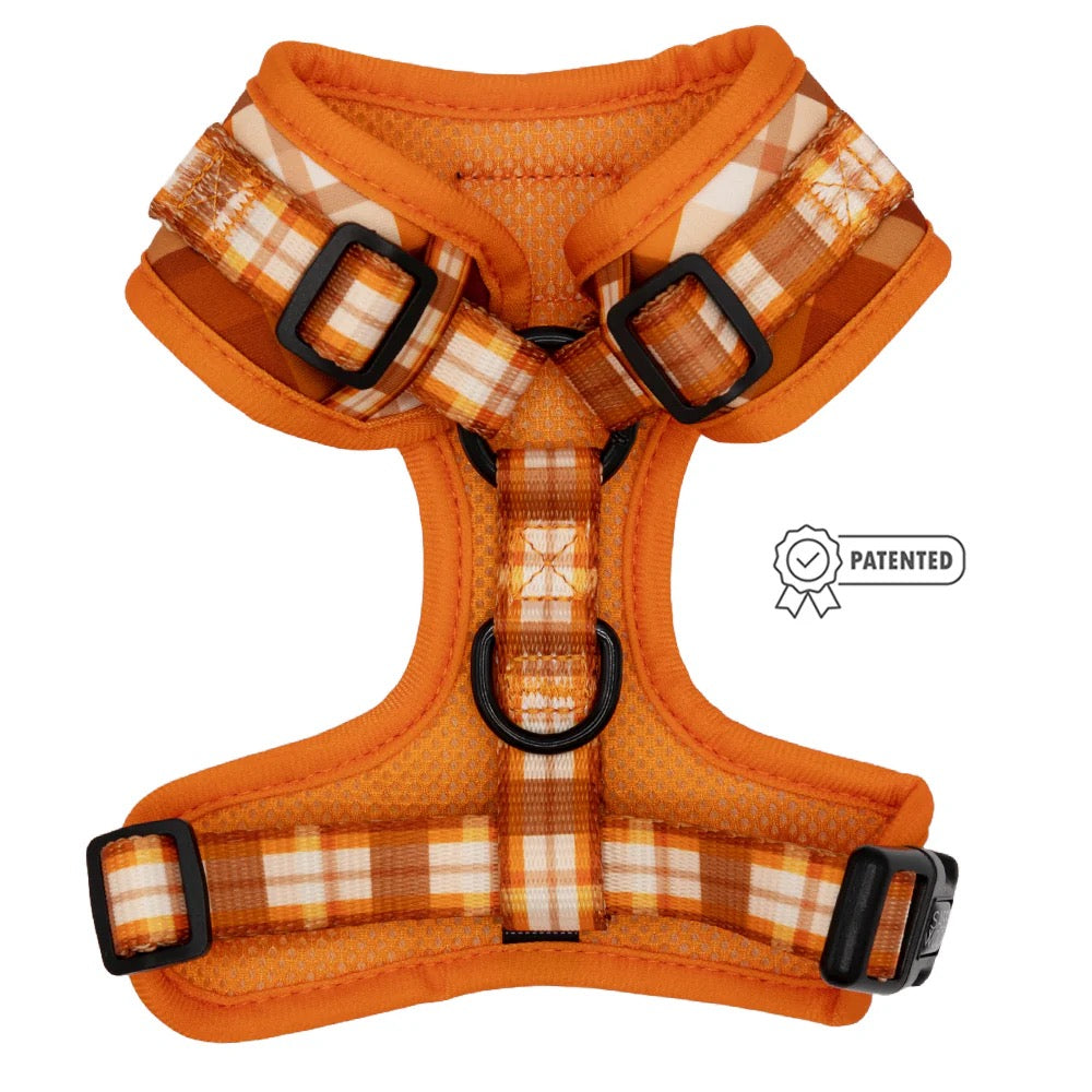 Sassy Woof DOG ADJUSTABLE HARNESS - SPICED HARVEST