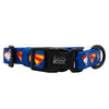 Sassy Woof Dog Collar - Superman™ & Krypto