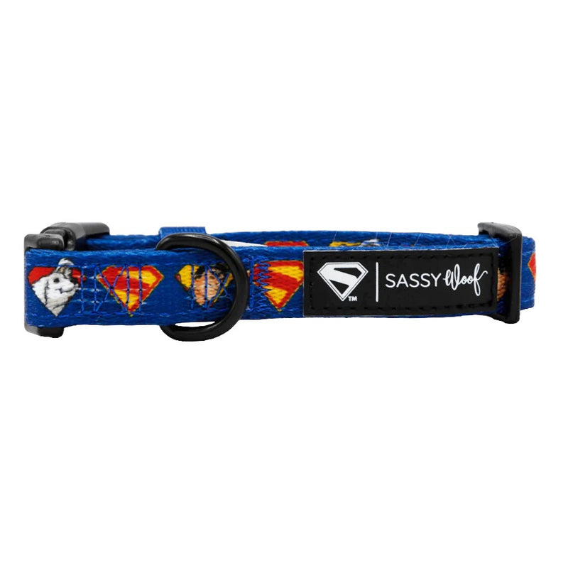 Sassy Woof Dog Collar - Superman™ & Krypto