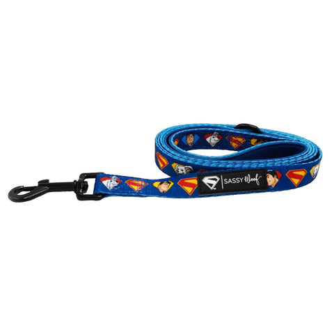 Bobbi Panter Professional Snarly Dog Detangling Spary