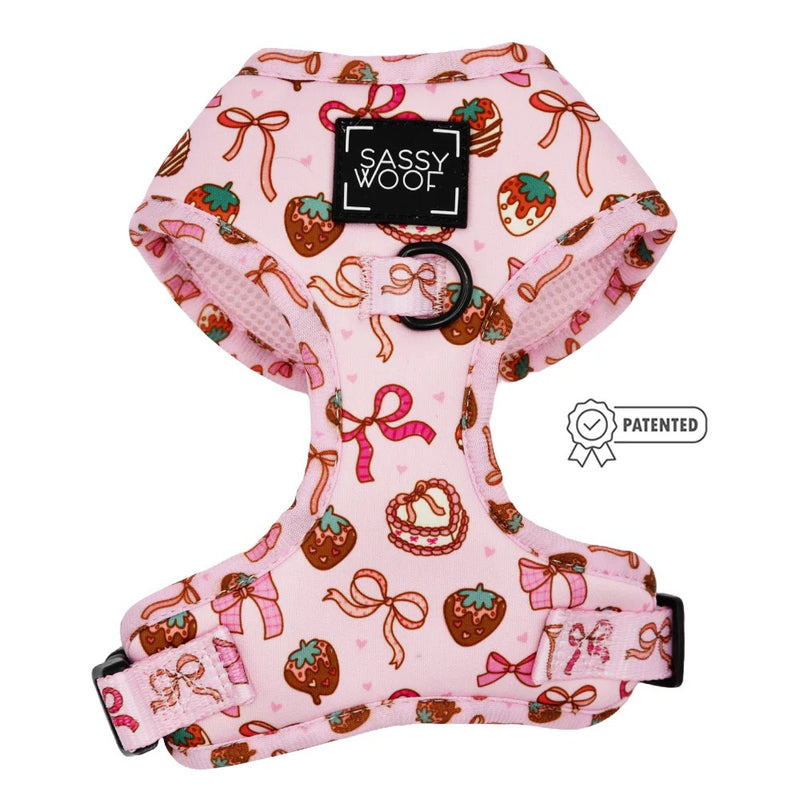 Sassy Woof Dog Adjustable Harness - Sweet Treats