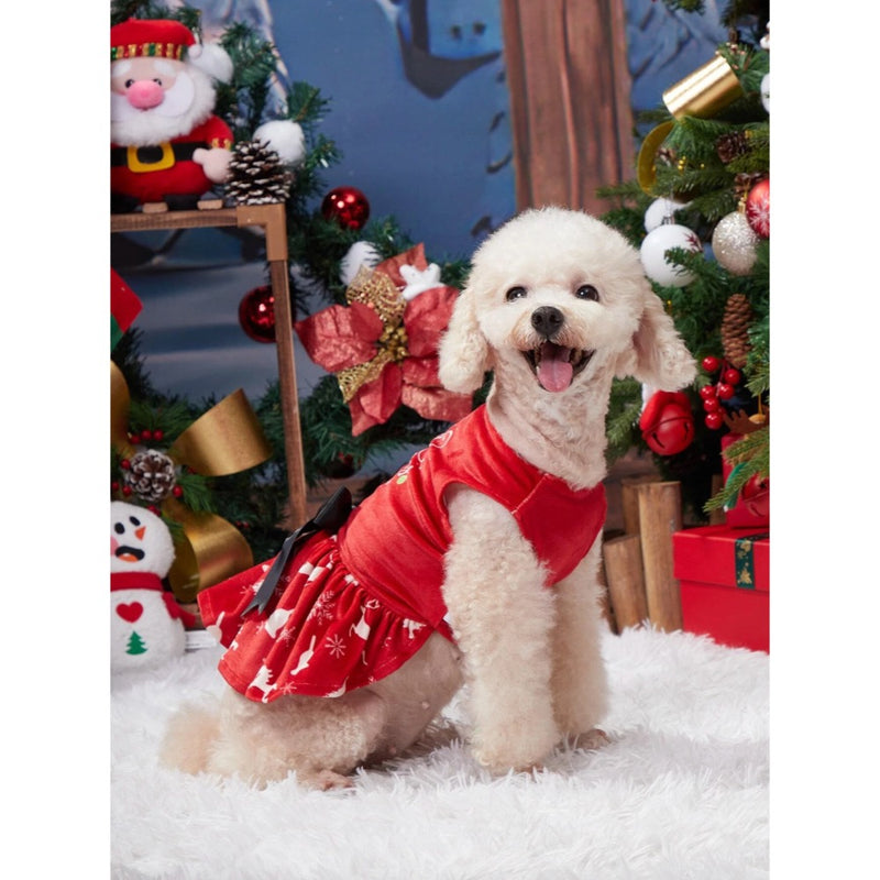 Cute Bone Merry Christmas Pet Dress