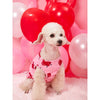 Shein Valentine's Day Heart Print Pet Vest