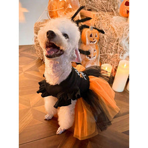 Petsin Ghost Print Just Boo  Halloween Pet Dress