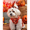 Petsin Halloween Pumpkin Cute Bow Pet Dress