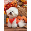 Petsin Pet Halloween Orange Smiling Face Pattern Vest