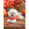 Petsin Pet Halloween Orange Smiling Face Pattern Vest