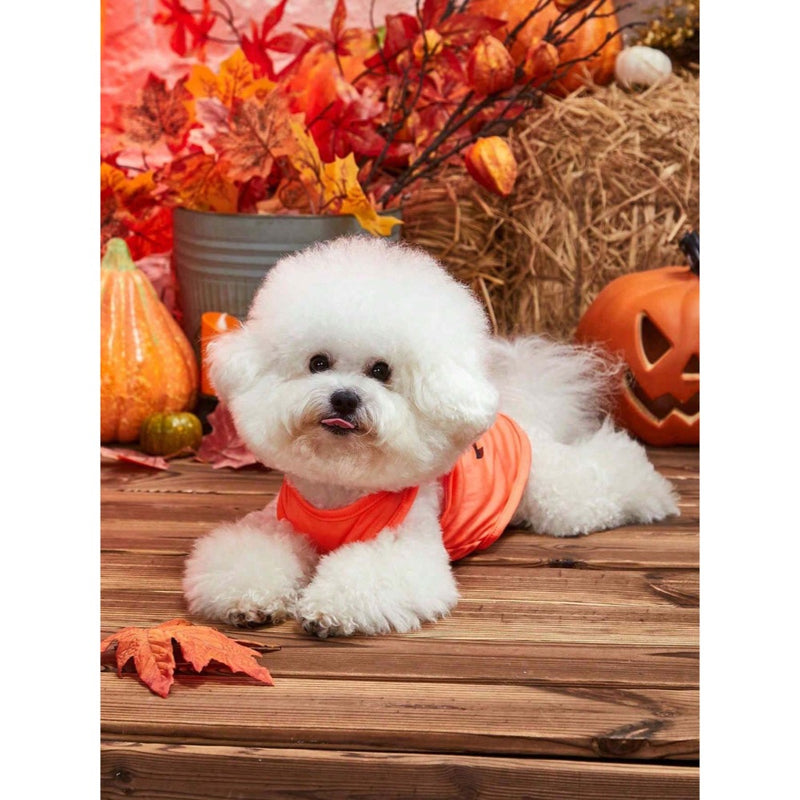 Petsin Pet Halloween Orange Smiling Face Pattern Vest