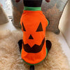 Shein Halloween Pumpkin Design Pet Tee