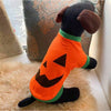 Shein Halloween Pumpkin Design Pet Tee